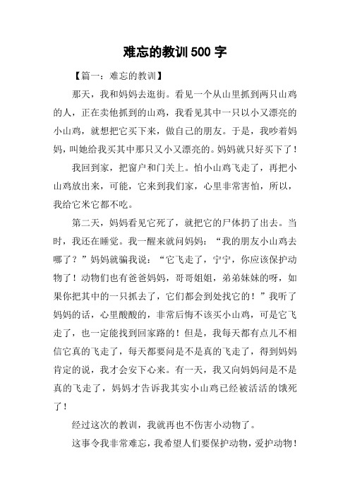 难忘的教训500字