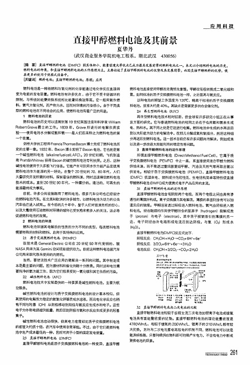 直接甲醇燃料电池及其前景