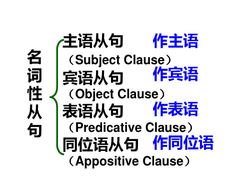 名词性从句考点复习