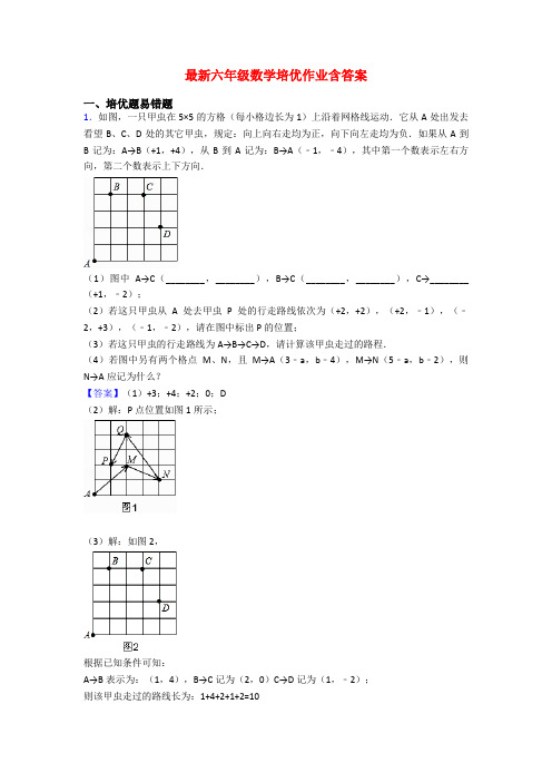 最新六年级数学培优作业含答案