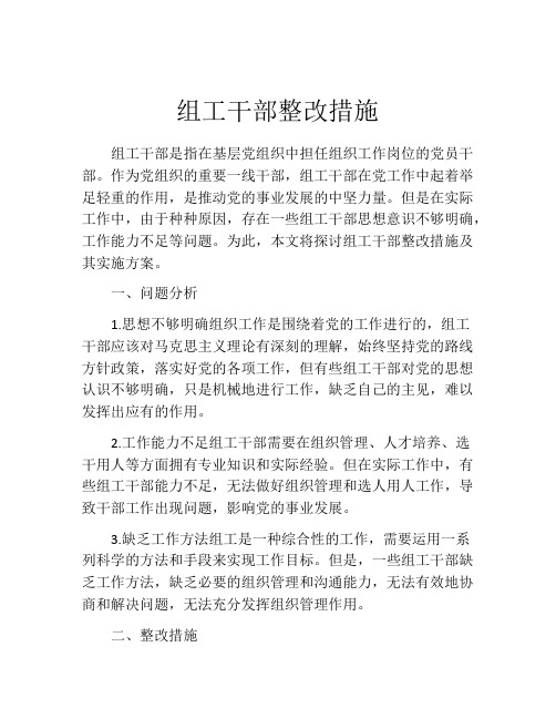 组工干部整改措施