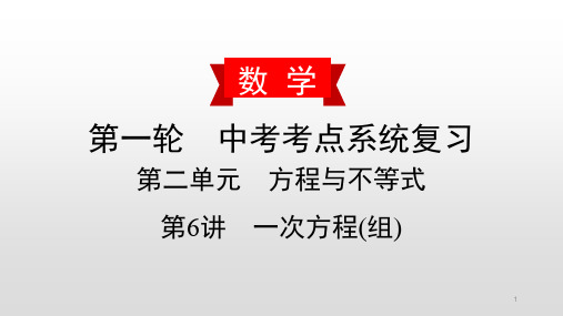 【精品】2020届数学中考复习讲解课件：一次方程(组)