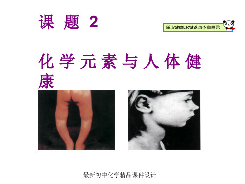 最新人教版初中化学九年级上册《12课题2化学元素与人体健康》PPT课件 (9)