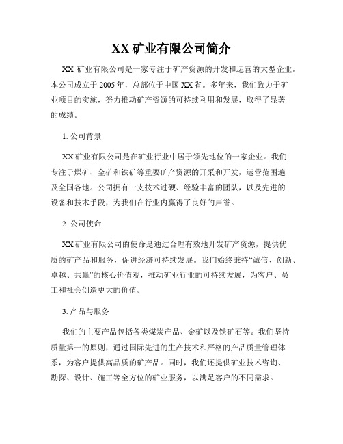 XX矿业有限公司简介