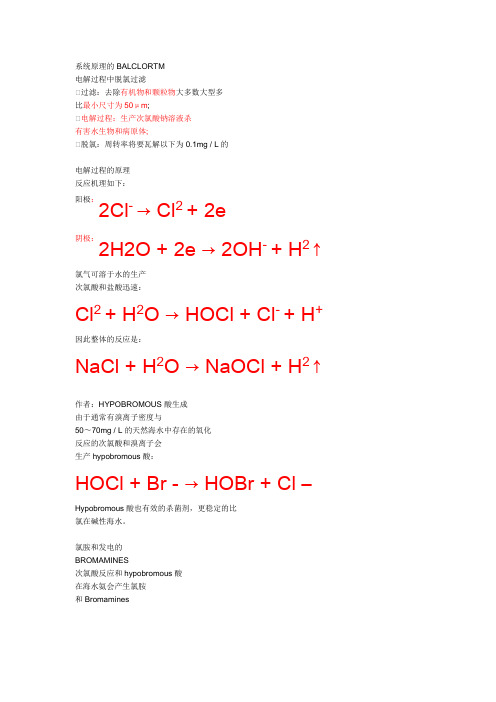 双瑞压载水处理系统说明(林双海)[1]