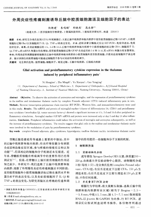 外周炎症性疼痛刺激诱导丘脑中胶质细胞激活及细胞因子的表达