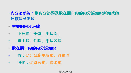 内分泌系统疾病病人的护理PPT课件