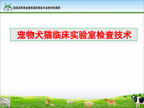 工作任务21-2宠物犬猫临床实验室检查技术