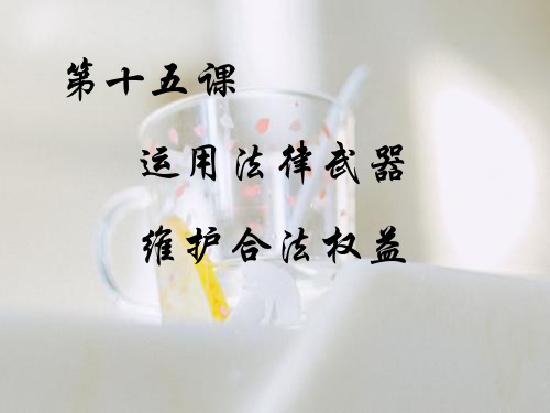 诉讼程序PPT教学课件