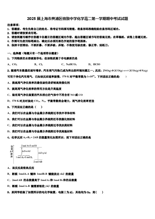 2025届上海市黄浦区格致中学化学高二第一学期期中考试试题含解析