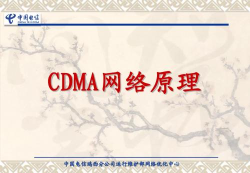 CDMA网络基本原理介绍2013-12