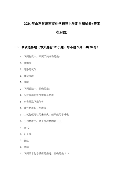 山东省济南市化学初三上学期试卷及解答参考(2024年)