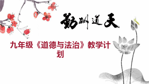 九年级《道德与法治》教学计划