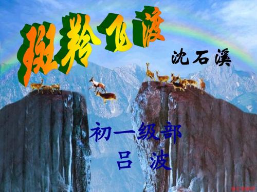 斑羚飞渡说课