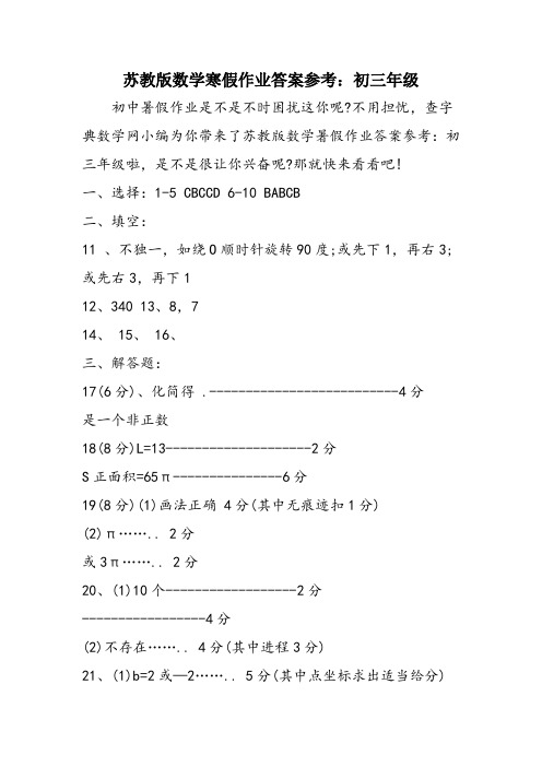 苏教版数学寒假作业答案参考：初三年级