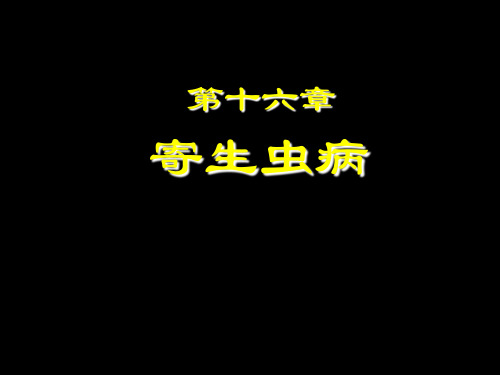 寄生虫病.ppt