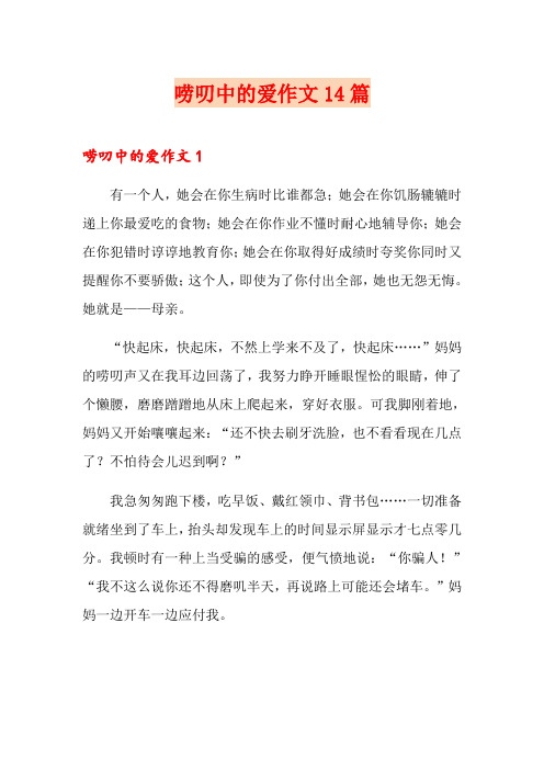 唠叨中的爱作文14篇