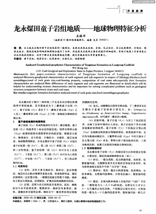 龙永煤田童子岩组地质——地球物理特征分析