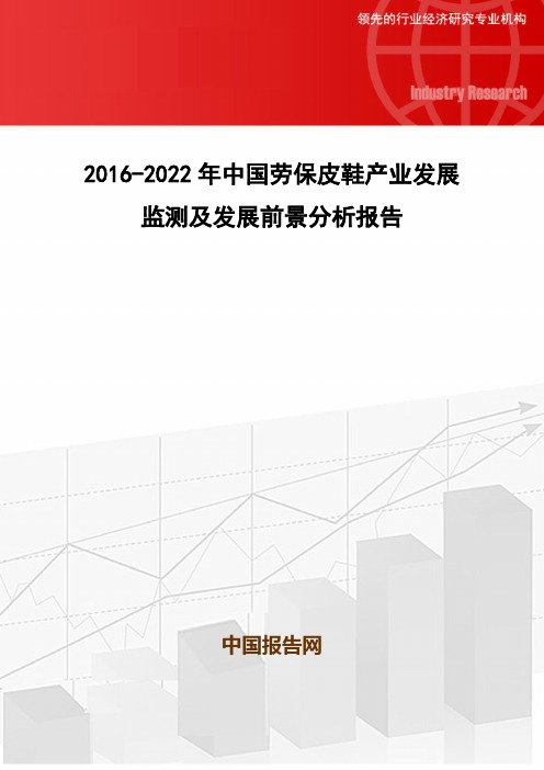 2016-2022年中国劳保皮鞋产业发展监测及发展前景分析报告