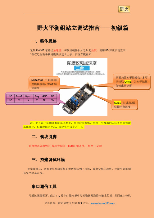 野火平衡组站立调试指南(初级篇)