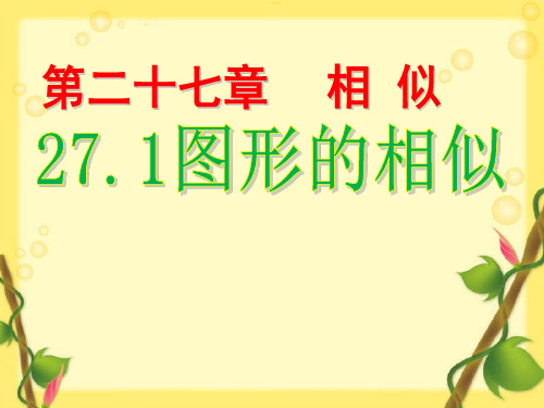 《章前引言及相似图形》PPT课件(江苏省市级优课)