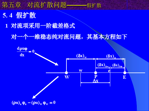 第五章对流扩散问题(假扩散)