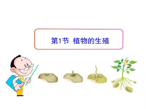 植物的生殖_PPT