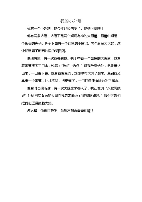 我的小外甥
