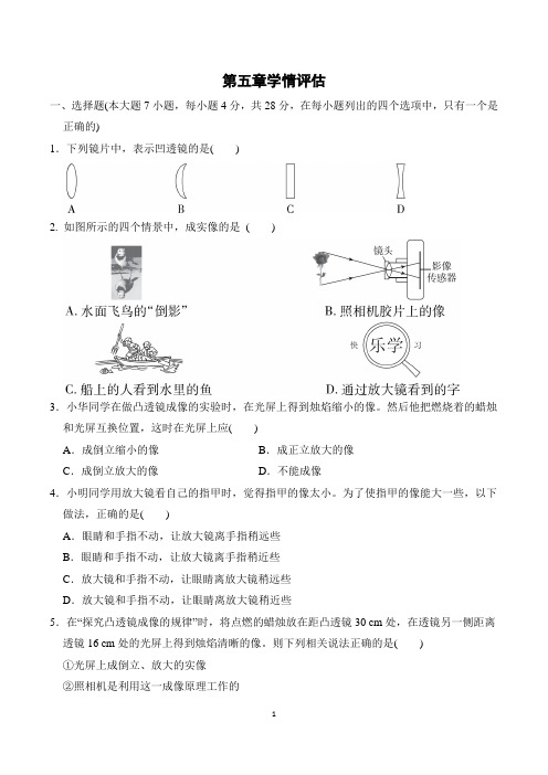 2022年秋季人教版八年级上册物理第五章同步测试试卷及答案