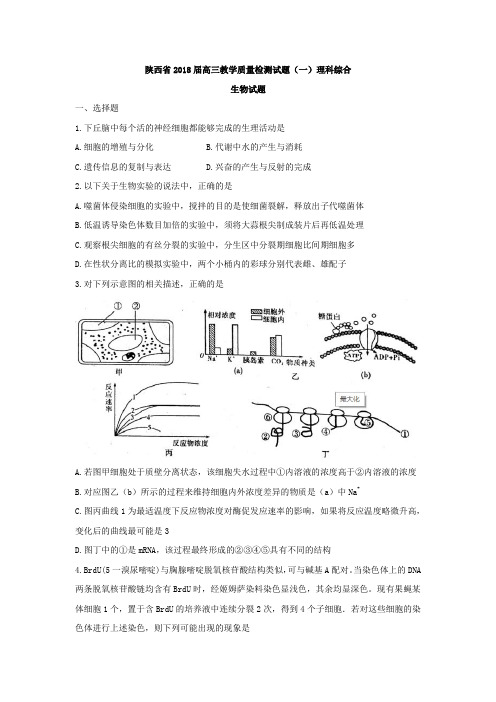 陕西省2018届高三教学质量检测试题 (一)理科综合生物试题