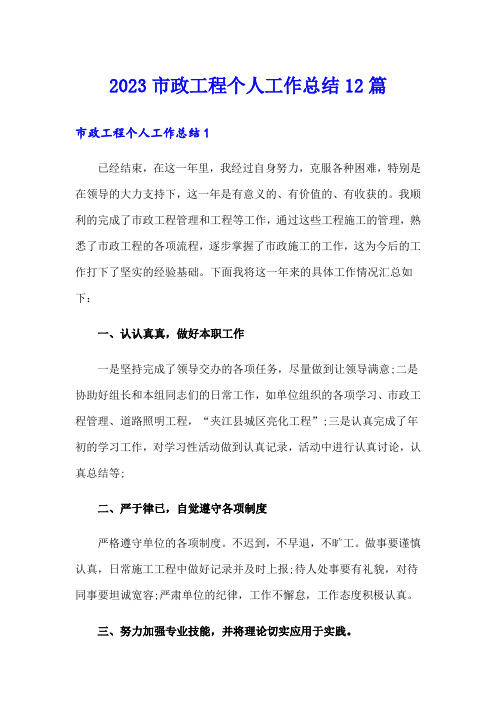 2023市政工程个人工作总结12篇