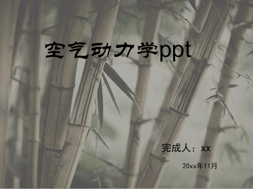 空气动力学ppt