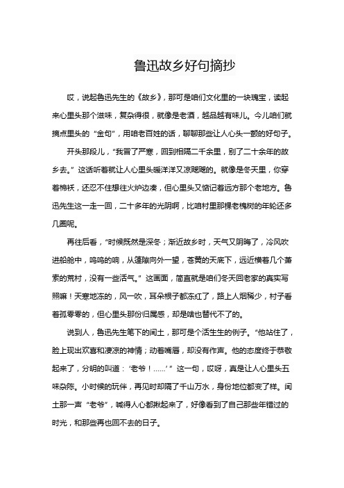 鲁迅故乡好句摘抄