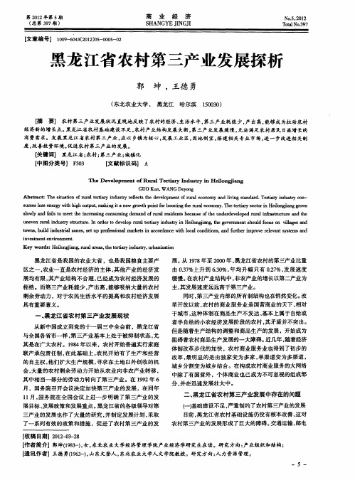 黑龙江省农村第三产业发展探析