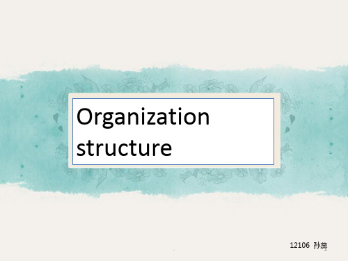 管理学Organization-structurePPT课件