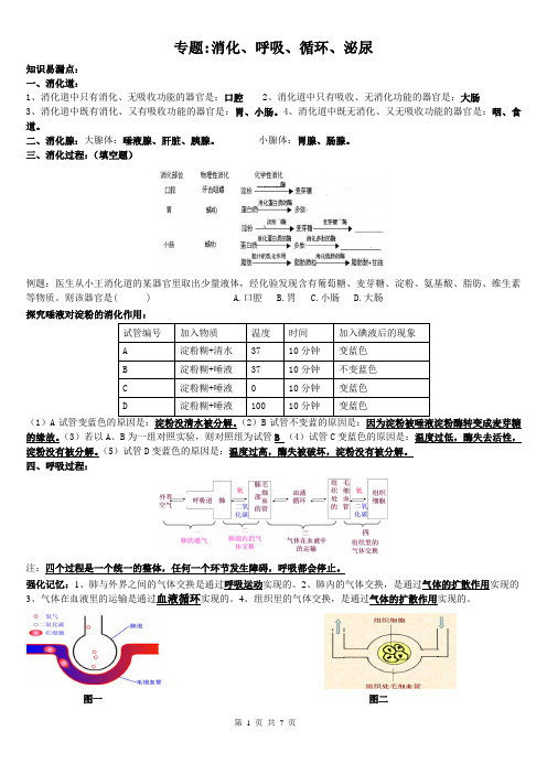 专题4：消化、呼吸、循环、泌尿系统