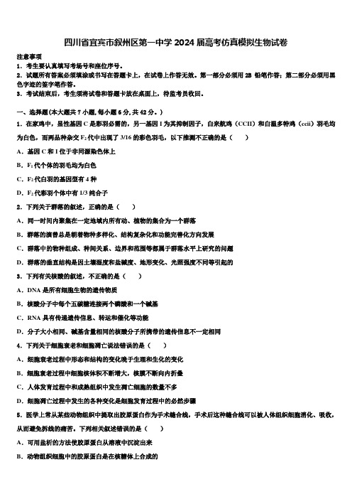 四川省宜宾市叙州区第一中学2024届高考仿真模拟生物试卷含解析