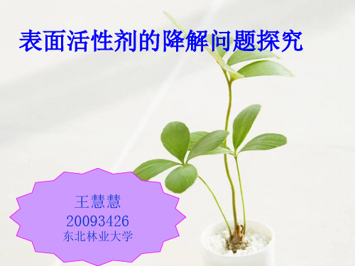 表面活性剂的生物降解