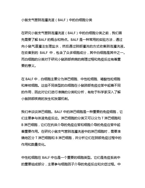 小鼠支气管肺泡灌洗液(balf)中的白细胞分类