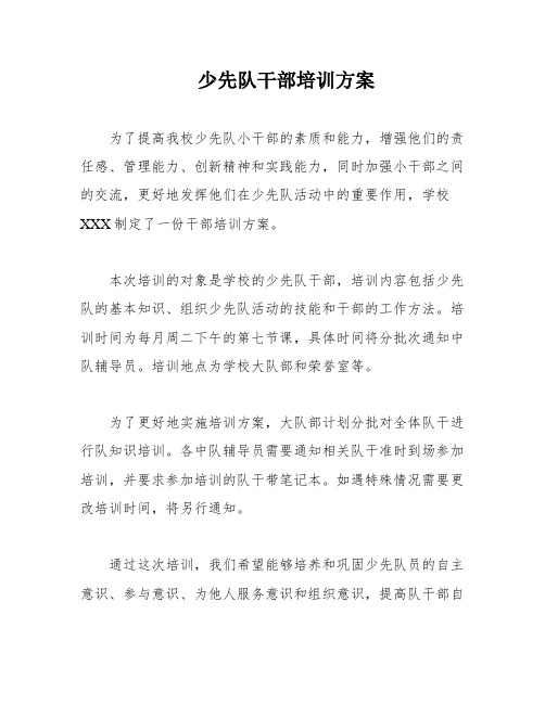 少先队干部培训方案