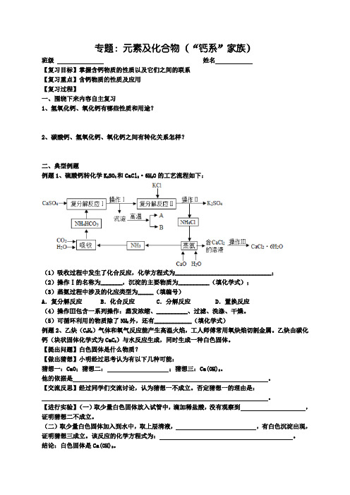 2024年中考化学二轮专题复习导学案：元素及化合物(“钙系”家族)