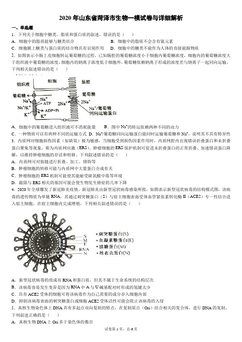 2020年山东省菏泽市生物一模试卷与详细解析