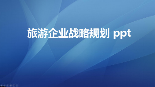 旅游企业战略规划 ppt