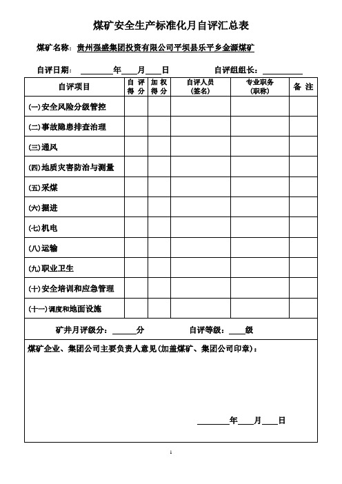 金源：煤矿自评表(新标准)