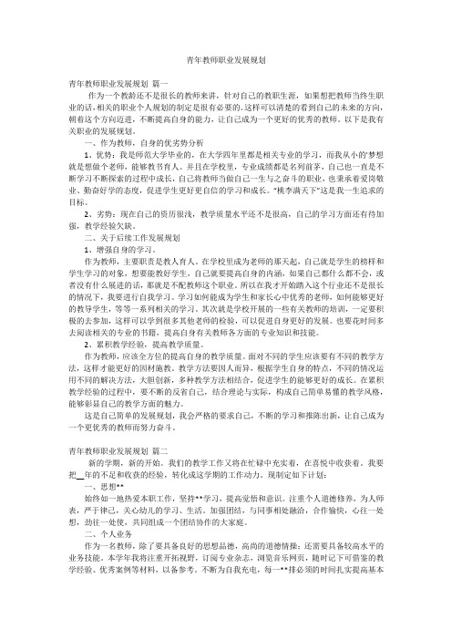 青年教师职业发展规划