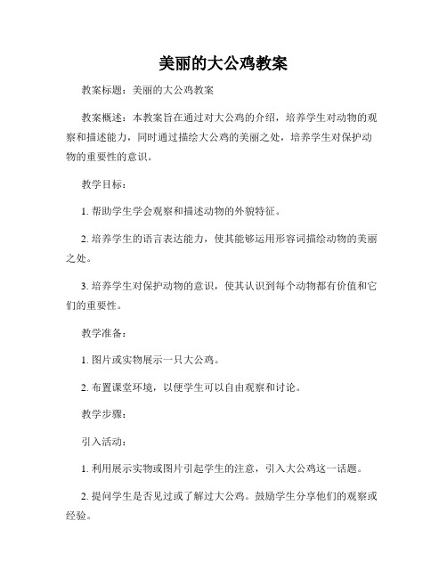 美丽的大公鸡教案