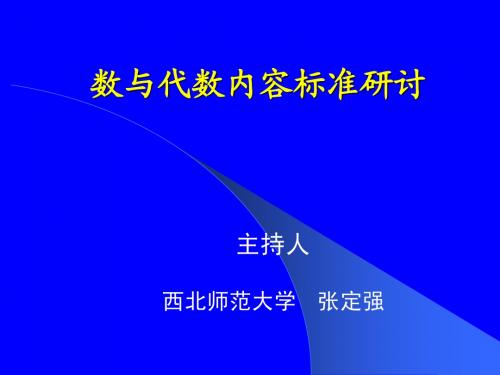 数与代数内容标准研讨