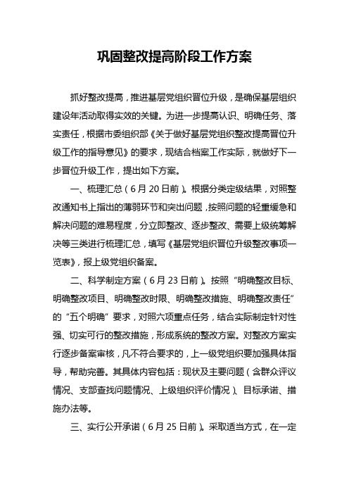 巩固整改提高阶段工作方案