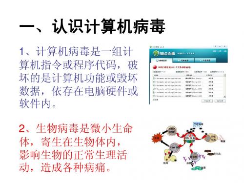 计算机病毒与危害