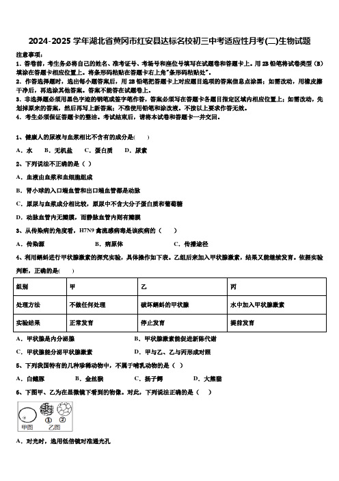 2024-2025学年湖北省黄冈市红安县达标名校初三中考适应性月考(二)生物试题含解析